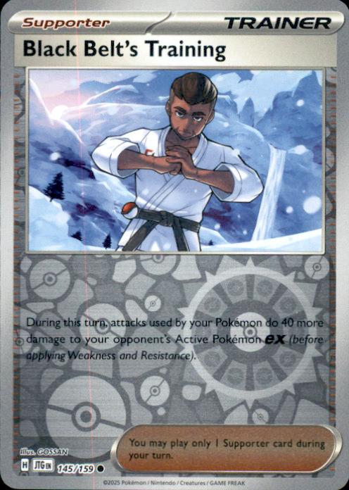 SV09: Journey Together SV09: Journey Together #145/159 Black Belt's Training