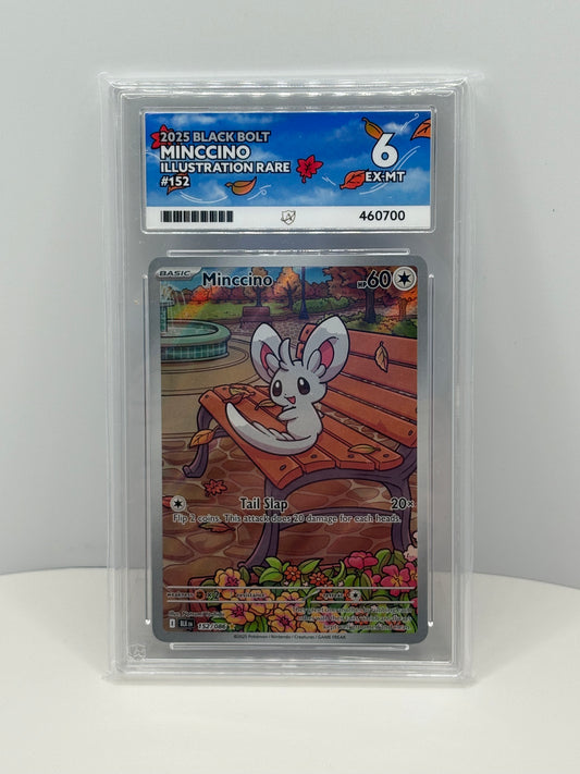 2025 Black Bolt Minccino Illustration Rare #152 – ACE Grading 6 (EX-MT)